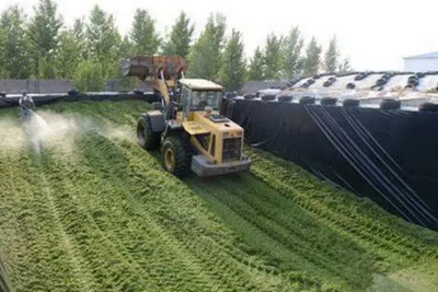 玉米青贮窖贮堆沤技术