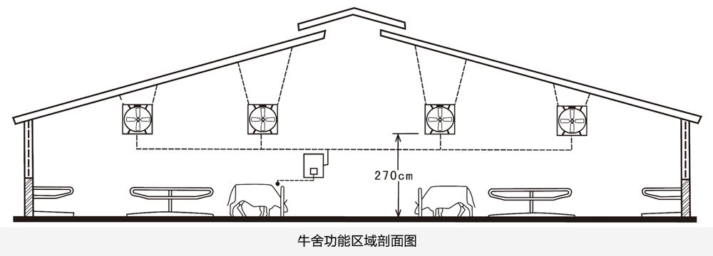 牛羊养殖大棚结构图图片