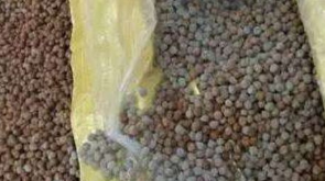 饲料仅封口处发霉