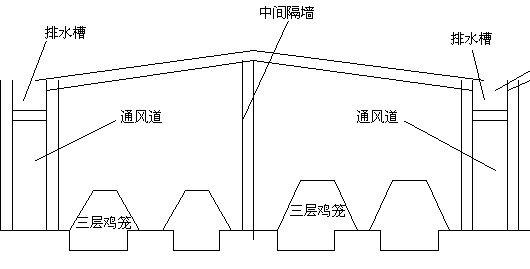 新建種雞場雞舍設備安裝的注意事項